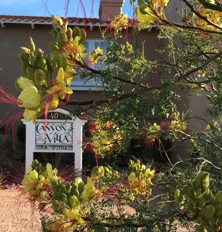 Canyon Villa Bed & Breakfast Inn Of Sedona Eksteriør billede